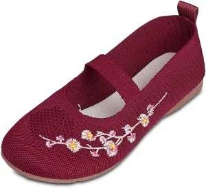 Women's Embroidered Mesh Ballet Comfortable Casual Mary Jane Shoes for Walking Daily Outfits